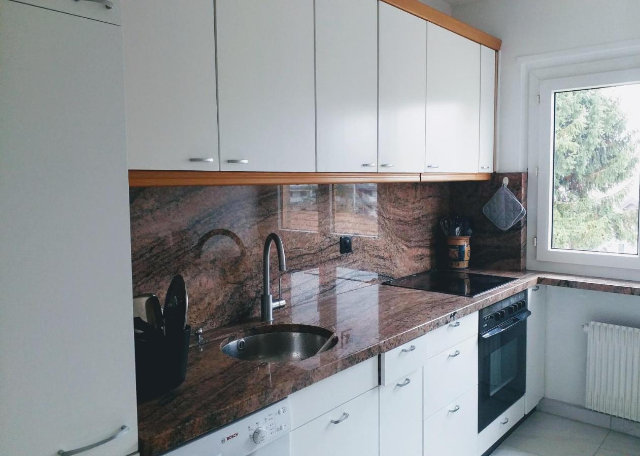 Alpine Apartment ビルヌーブ エクステリア 写真